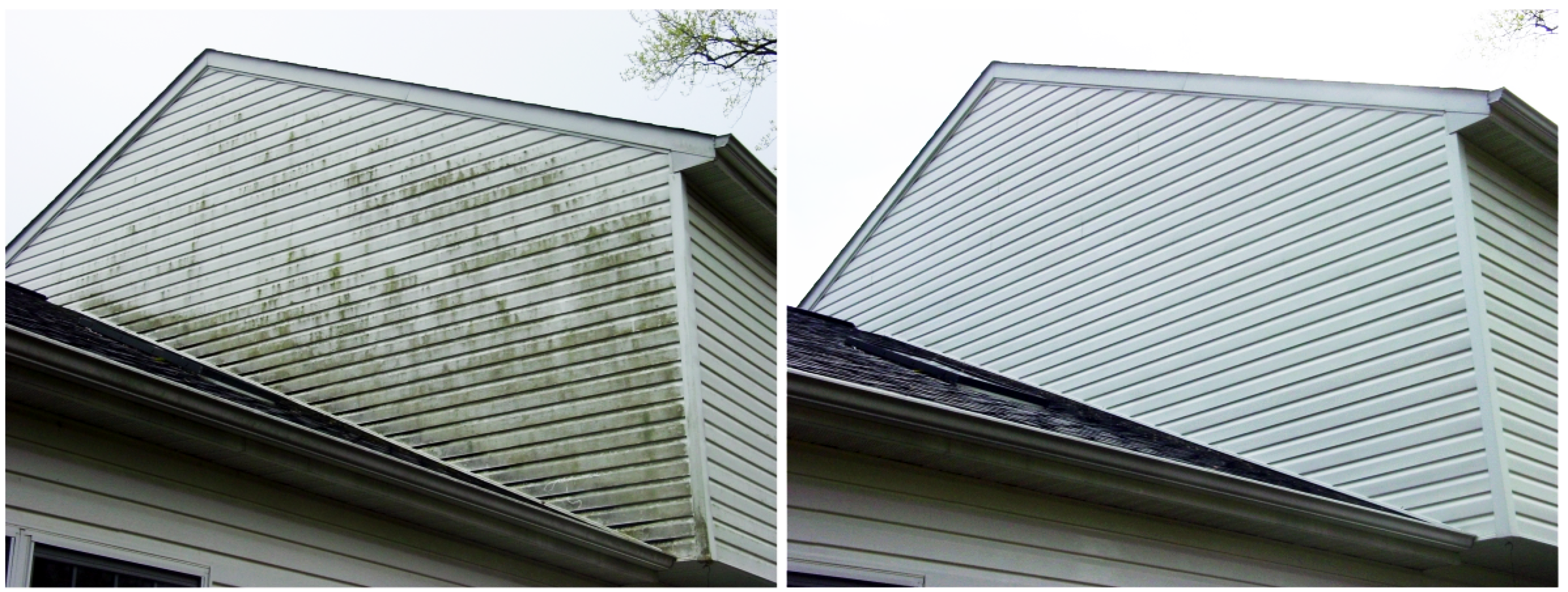 House Washing Before & After — Real Aegis Project